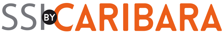 Sécurite des SI logo