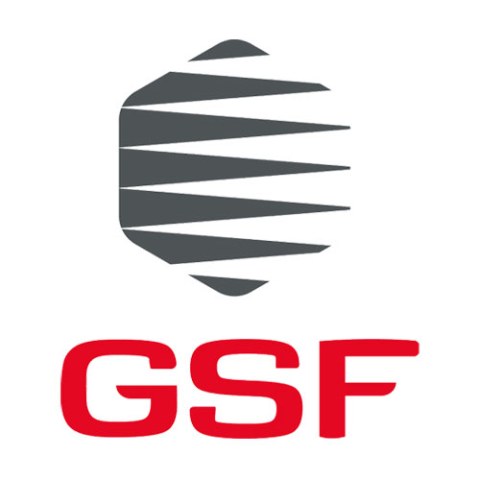 Logo GSF