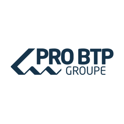 Logo pro BTP groupe